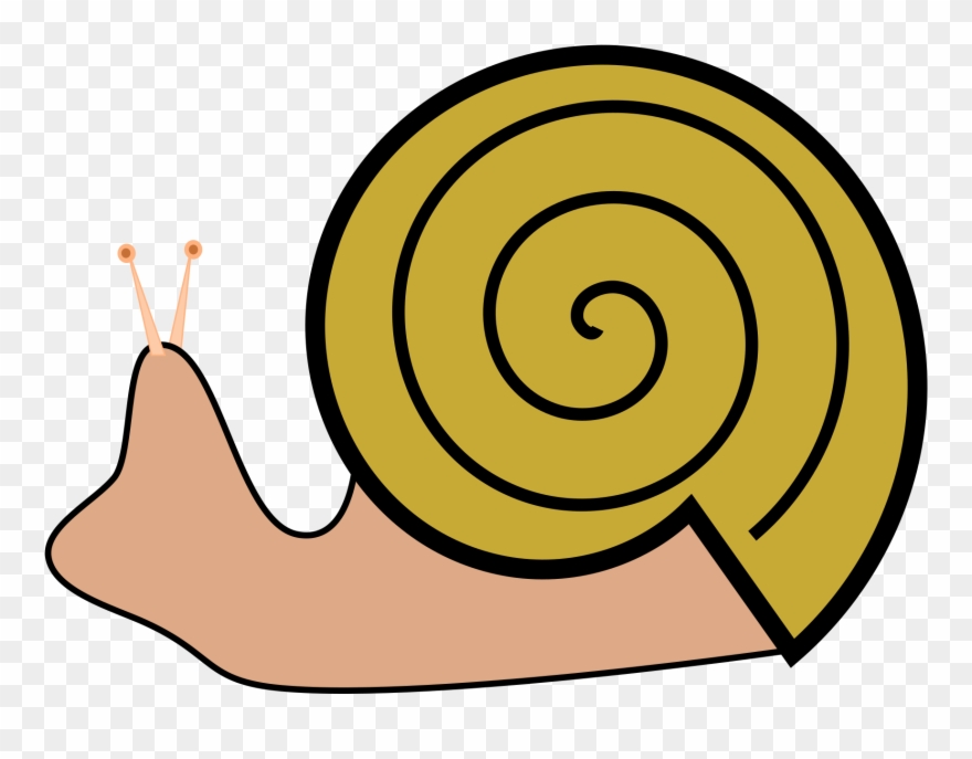 Grapevine Slug Roman Free Vector Graphic 880x687 Grapevine Slug Roman Free Vector Graphic