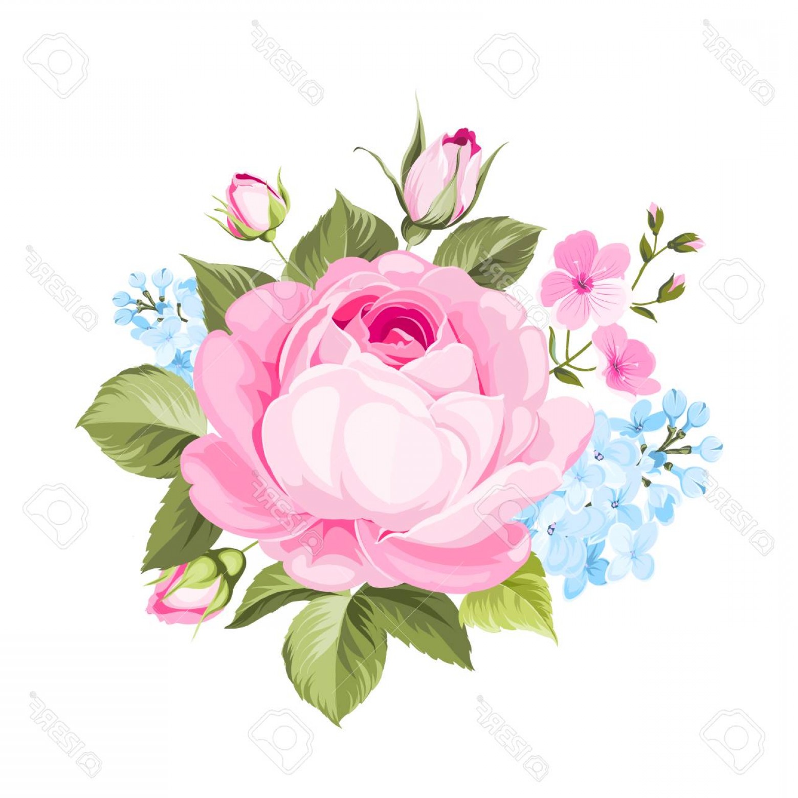 Photostock Vector The Rose Elegant Card A Spring Decorative 1560x1560 Photostock Vector The Rose Elegant Card A Spring Decorative