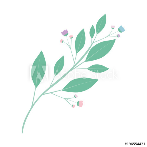 White Background Of Branch With Leaves And Small Flowers Vector 500x500 White Background Of Branch With Leaves And Small Flowers Vector