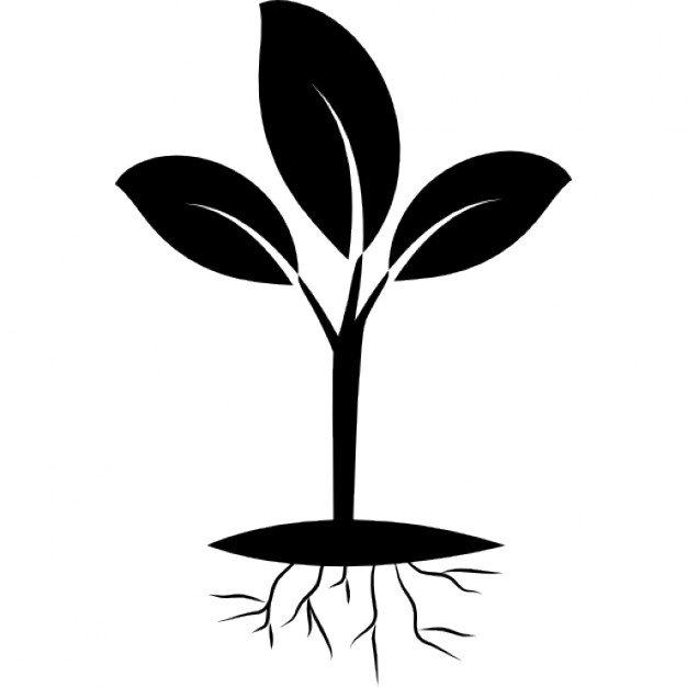 626x626 Plant Icon Vector