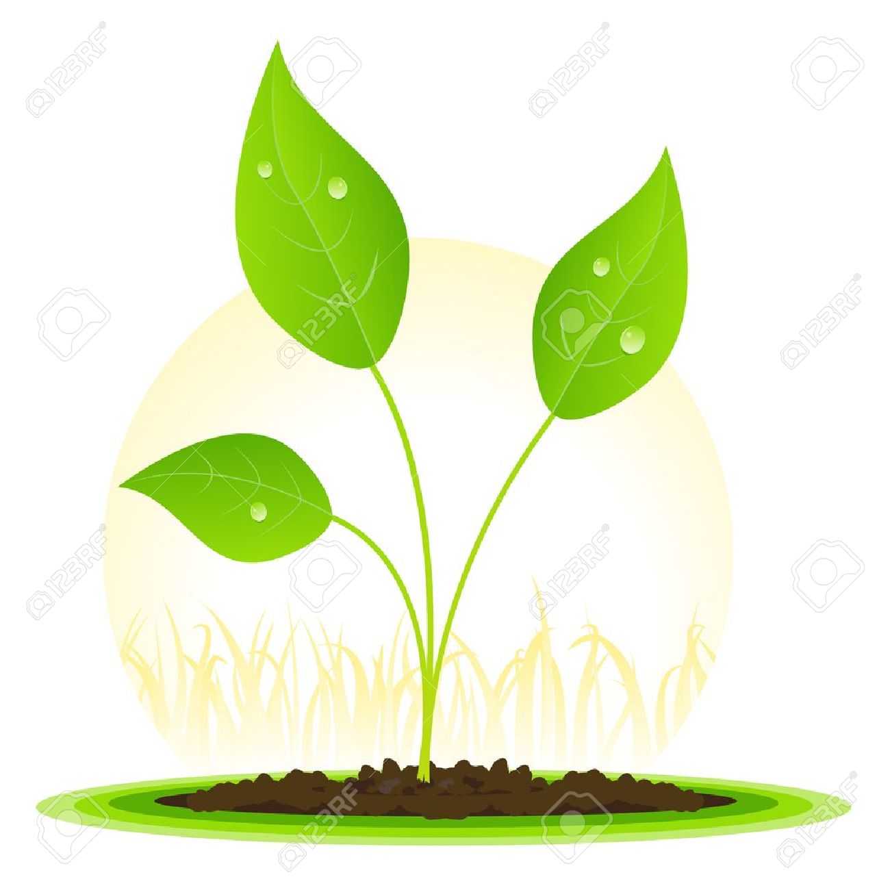 1300x1300 Plant Clipart Vector Illustration For Free Download And Use Images