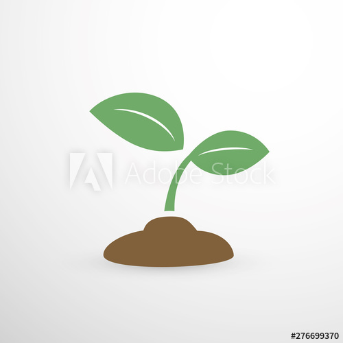 500x500 Seedling, Small Plant Vector Design Concept
