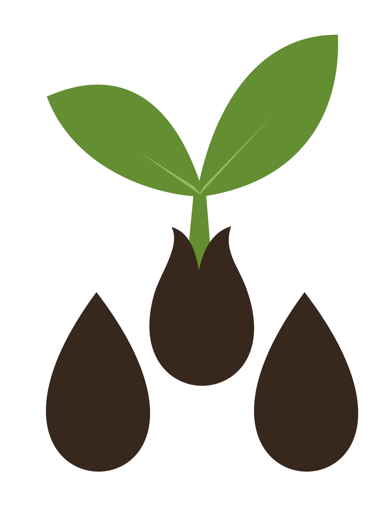 1280x1680 Seeds Clipart Small Plant For Free Download And Use Images
