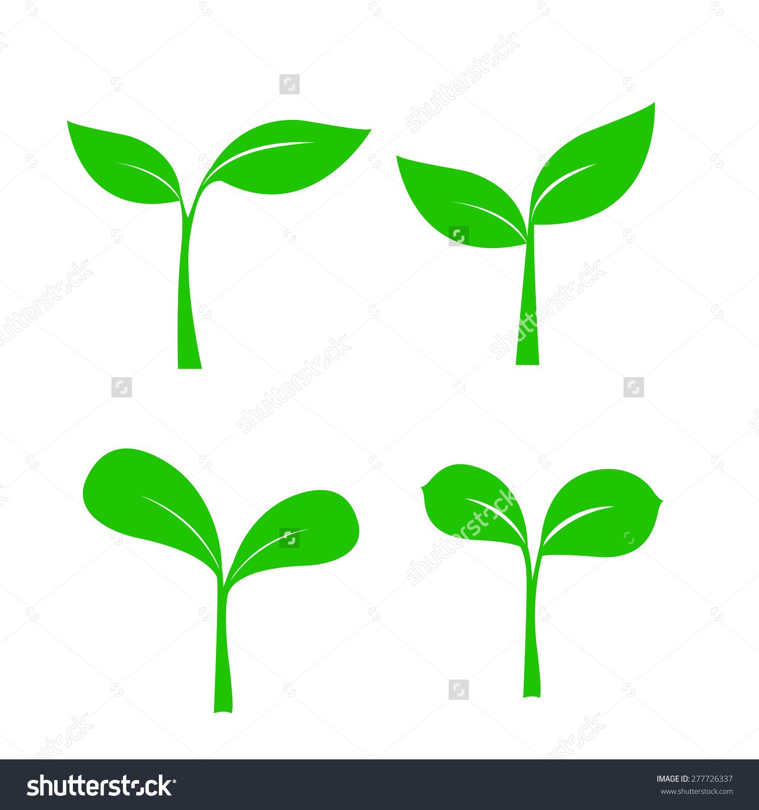 1500x1600 Set Of Small Shoot Plant Leaf For Nature Hydroponic Design Vector