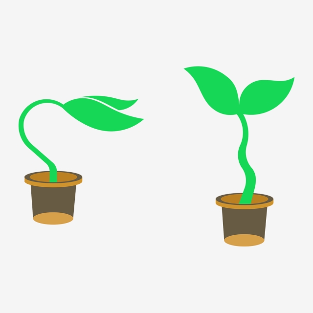 640x640 Small Plants Vector, Small, Plants, Vector Png And Vector For Free