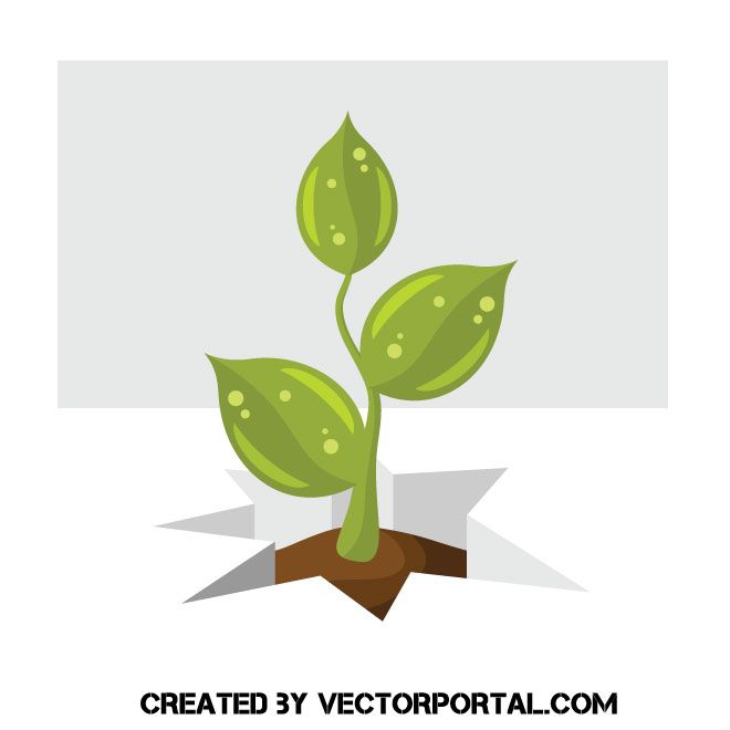 660x660 Small Green Sprout Vector Floral Vectors Free Vector Images
