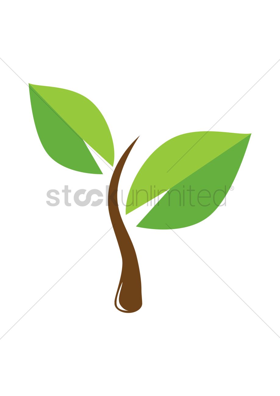 919x1300 Small Plant Vector Image