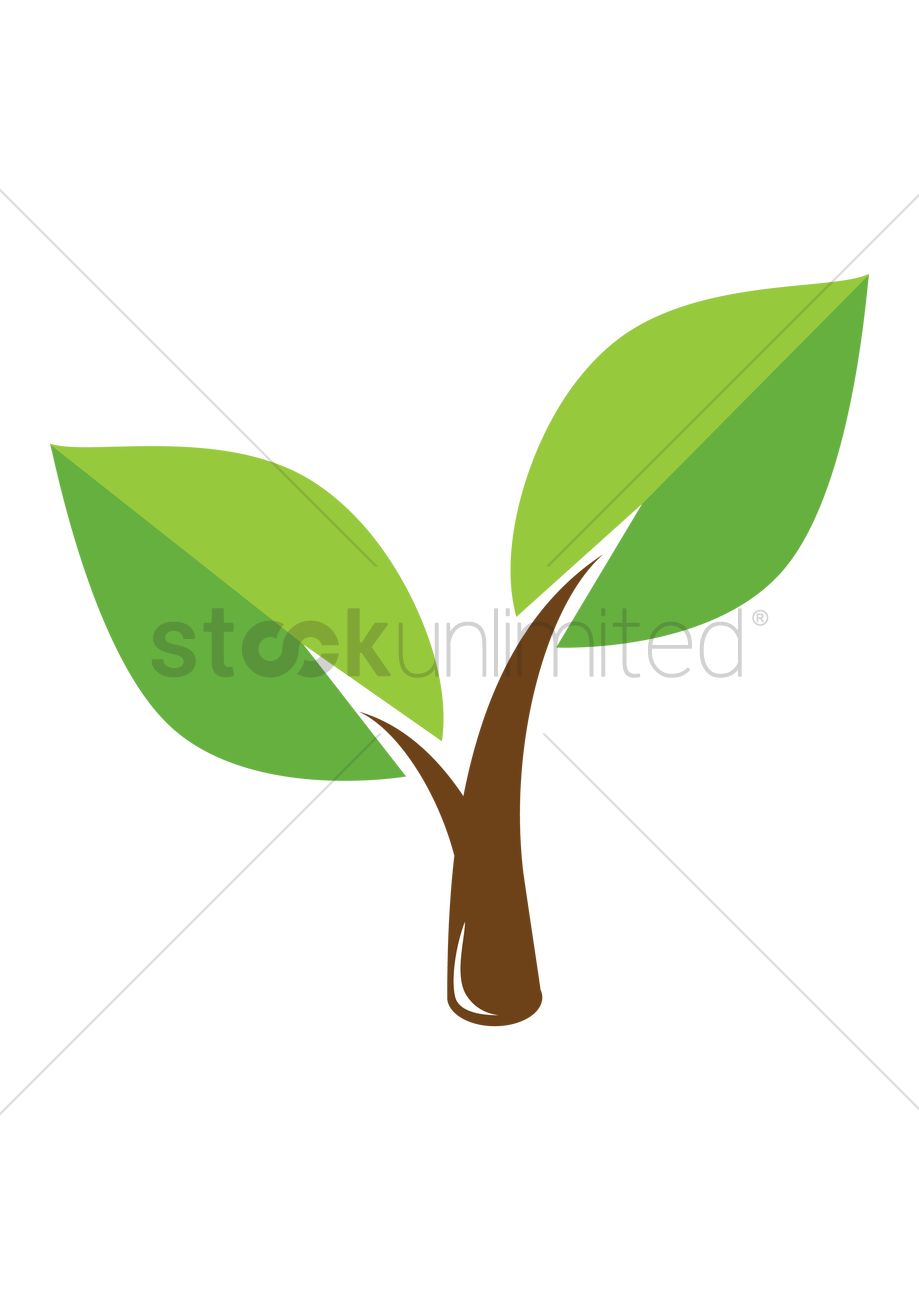 919x1300 Small Plant Vector Image