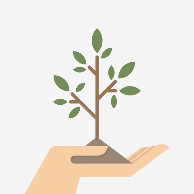 626x626 Small Plant Design Vector Free Download