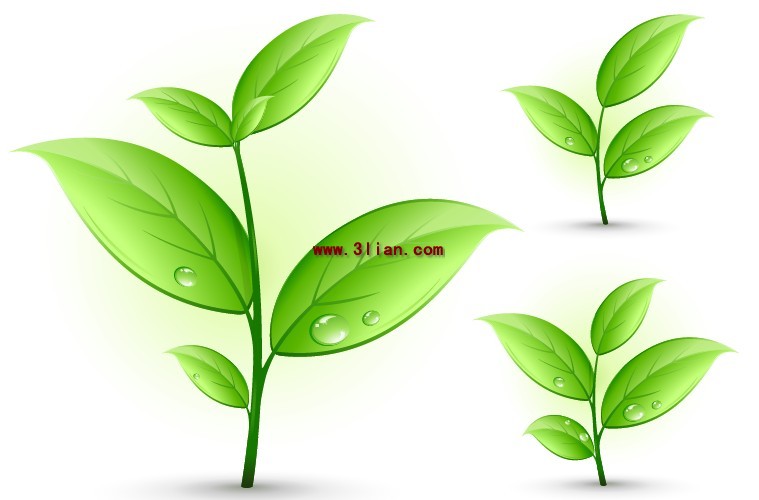 759x500 Drops Small Green Plants Vector Plant Free Vector Free Download