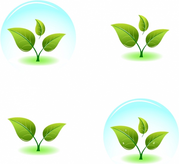 600x549 Young Green Plant Free Vector In Adobe Illustrator
