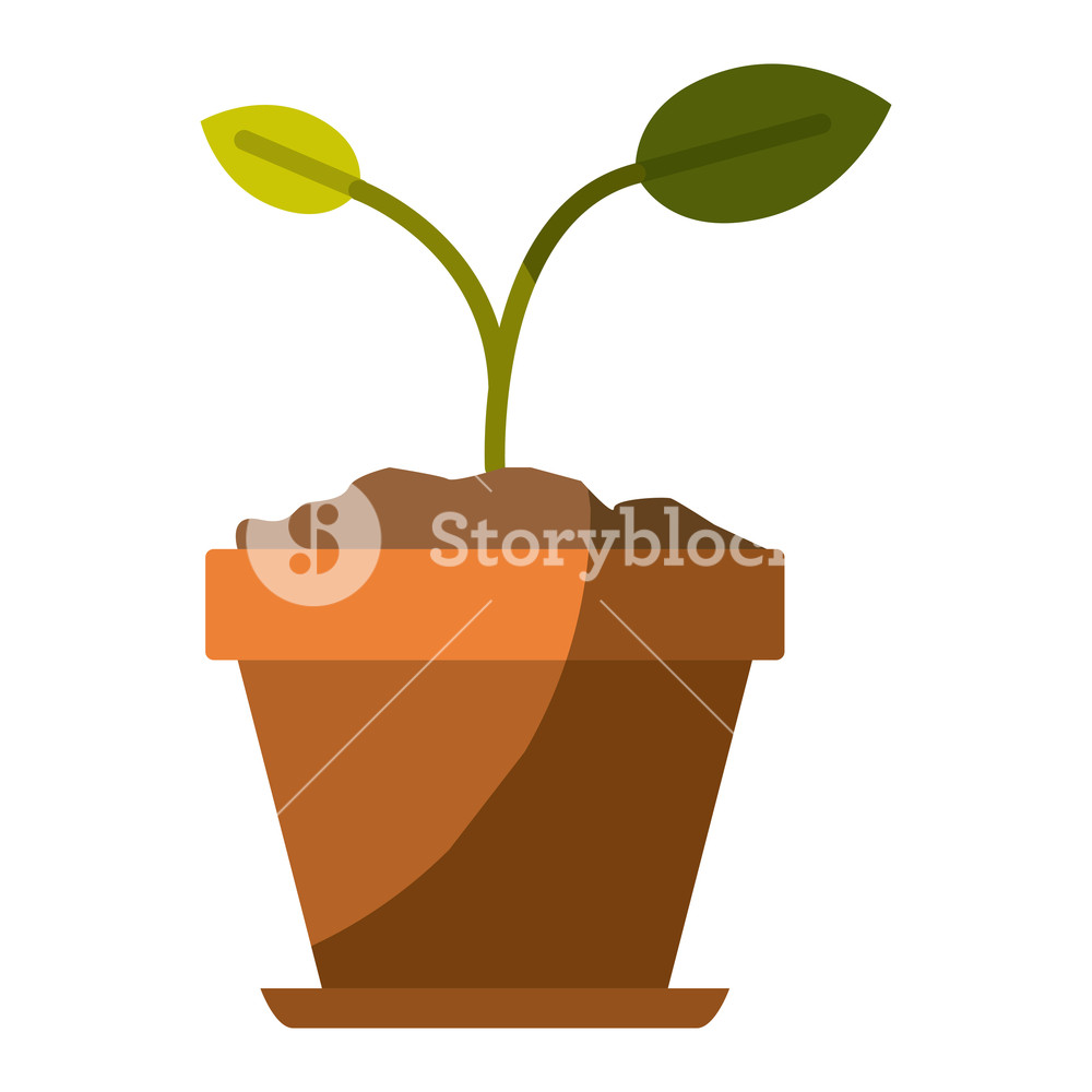 1000x1000 Colorful Silhouette Of Small Plant In Flower Pot In Closeup