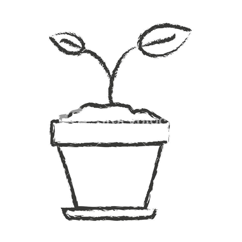 1000x1000 Monochrome Blurred Silhouette Of Small Plant In Flower Pot