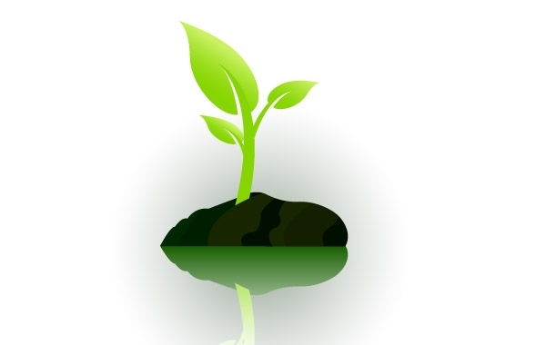 600x380 Free Vectors Small Plant Growing Robertas