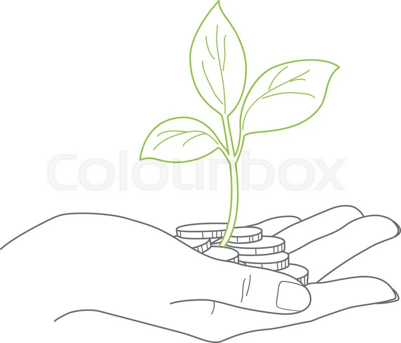 800x683 Investment Concept, Close Up Of Female Stock Vector Colourbox