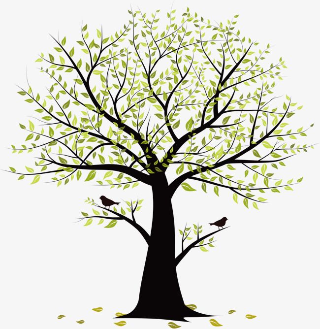 Small Tree Vector Birds, Tree Clipart, Birds, Trees Png And Vector 650x668 Small Tree Vector Birds, Tree Clipart, Birds, Trees Png And Vector