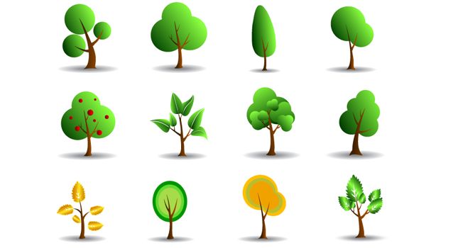 Tree Icon Vector 645x350 Tree Icon Vector