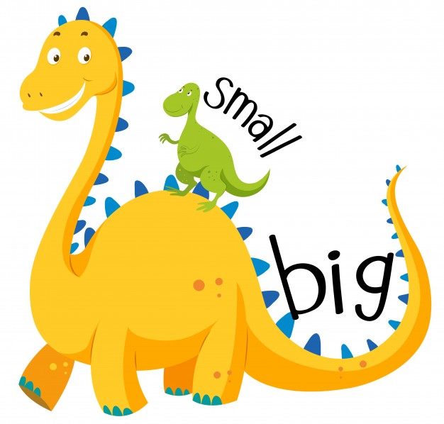 626x598 Opposite Adjective Big And Small Vector Free Download