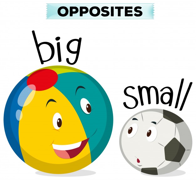 626x577 Opposite Words For Big And Small Vector Free Download