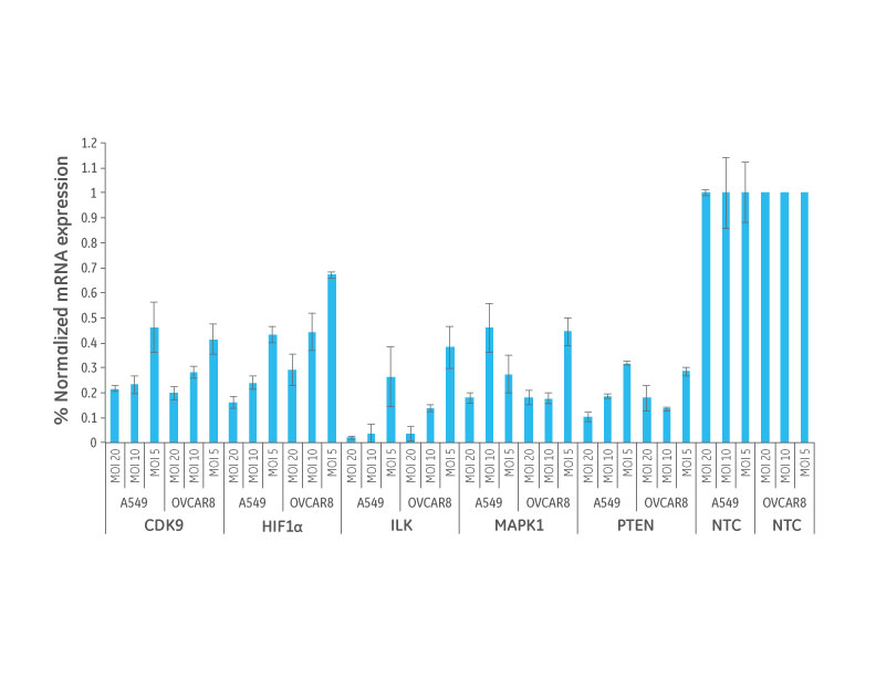 792x612 Smartvector Lentiviral Shrna
