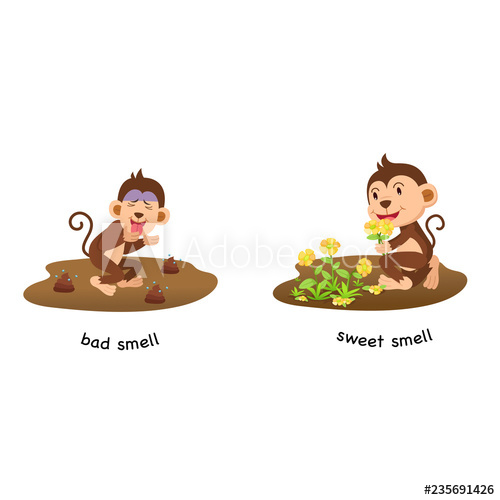 500x500 Opposite Bad Smell And Sweet Smell Vector Illustration