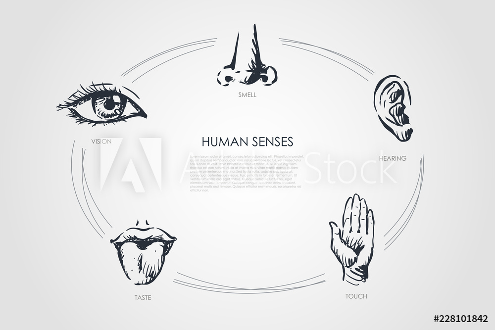 1000x667 Photo Art Print Human Senses