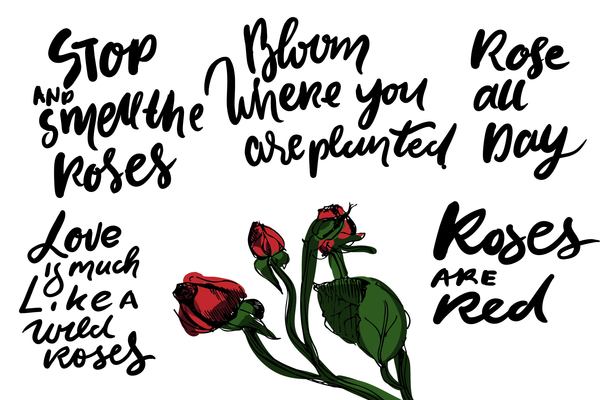 600x400 Smell On Curated Vector Illustrations, Stock Royalty Free Images