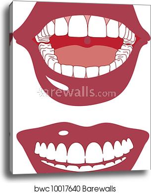 305x390 Red Mouth Smiling, Vector, Canvas Print Barewalls Posters