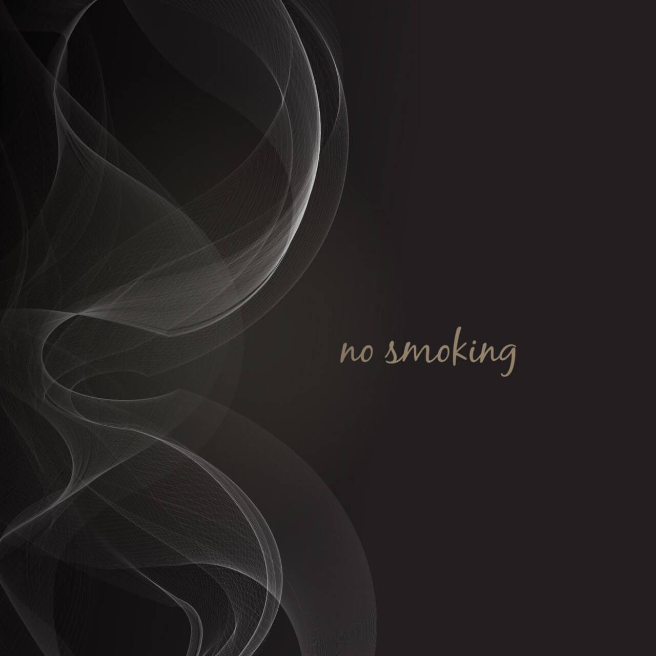 1280x1280 Free Vector Smoke Vector Illustration