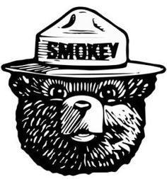 236x253 Best Smokey The Bear Woodsy Owl Images In Smokey