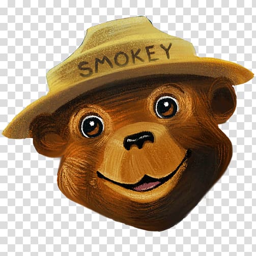 503x503 Smokey Bear And The Campfire Kids Wildfire, Bear Transparent