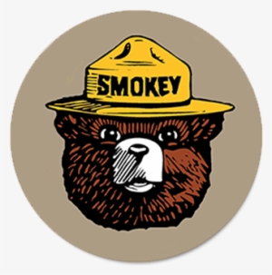 300x303 Smokey The Bear Png Png Images Png Cliparts Free Download On Seekpng