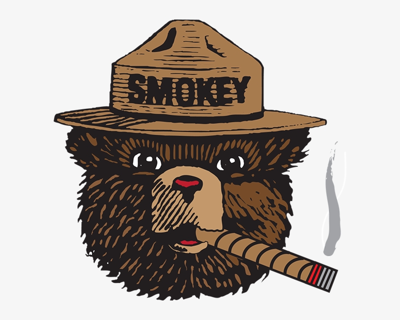 820x656 Smokey The Bear Vector