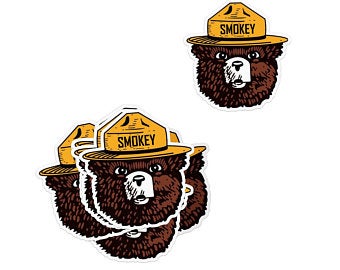 340x270 Smokey Bear Etsy