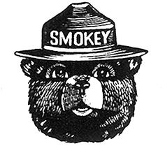 236x209 Best Smokey Bear Images In Smokey The Bears, Fire