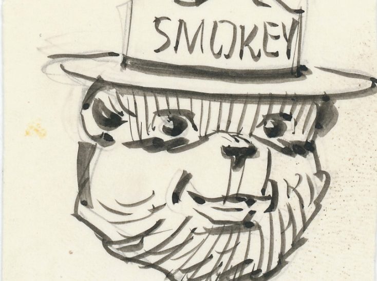 734x548 Bear Arms Drawing Cartoon Vector Claw Baby Comic Head Black