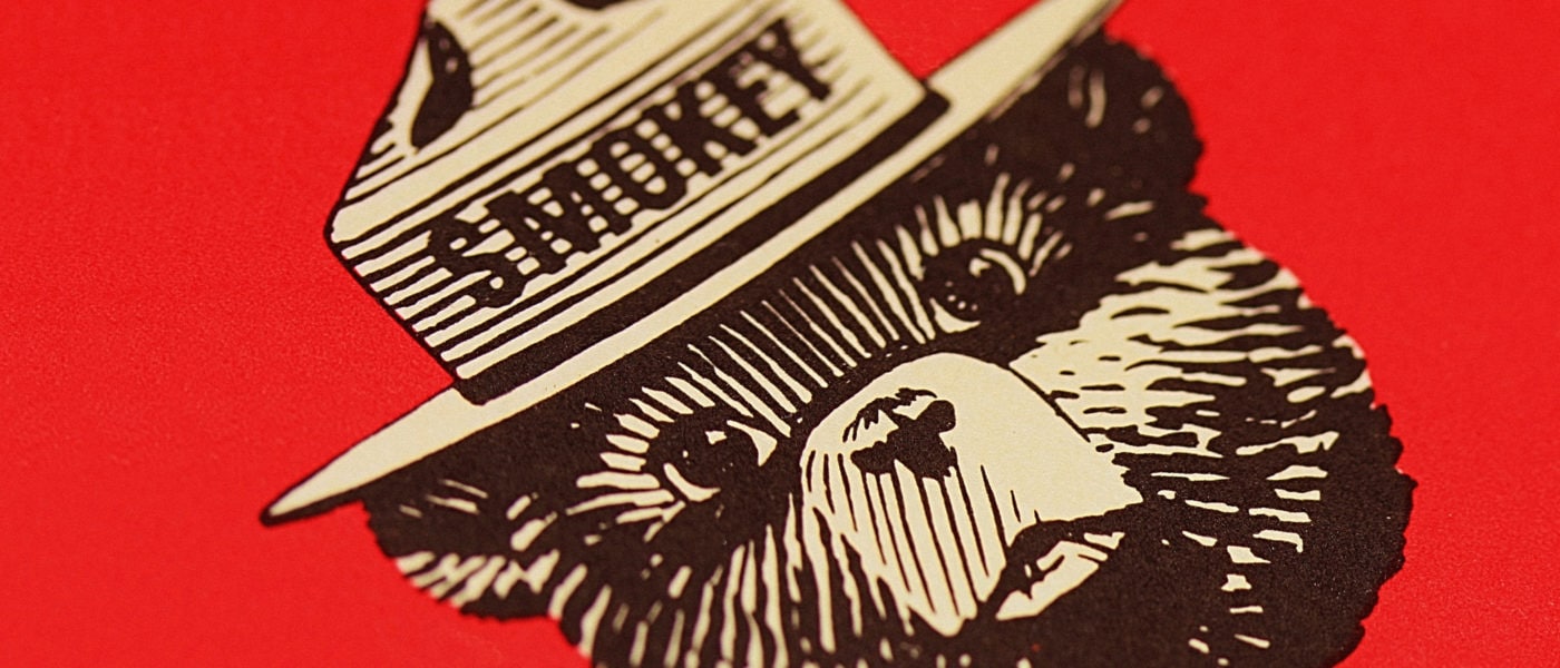 Smokey The Bear Vector