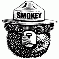 Smokey The Bear Brands Of The Download Vector Logos 200x200 Smokey The Bear Brands Of The Download Vector Logos