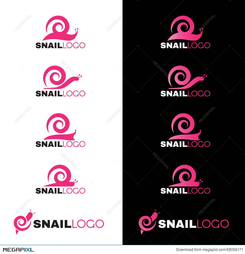 800x830 Pink Snail Line Logo Vector On White And Black Background