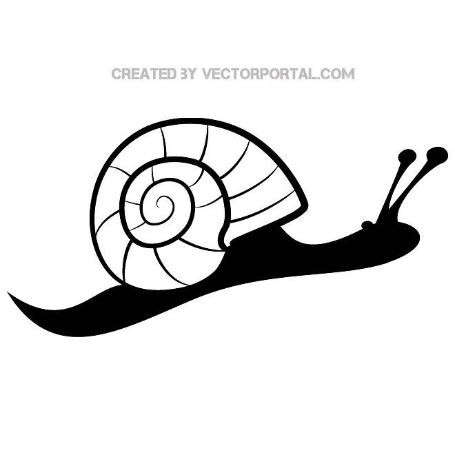 660x660 Snail Free Image Free Vector