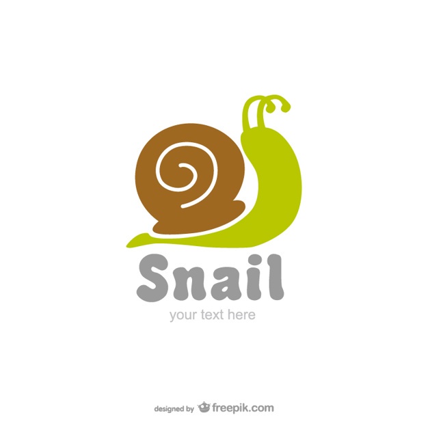 626x626 Snail Vectors, Photos And Free Download
