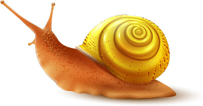 405x212 Snail Free Vector Download