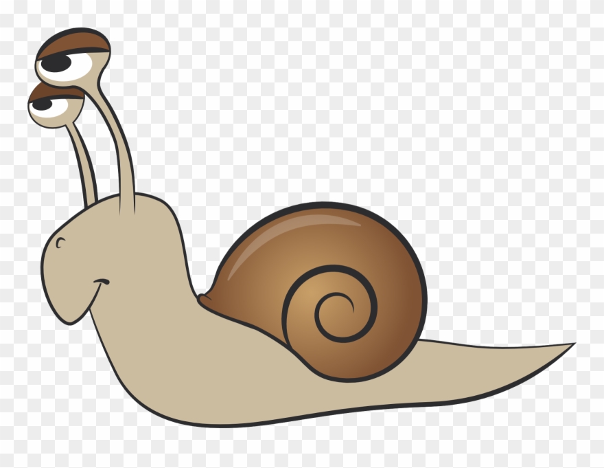 880x681 Snail Clip Art Free Vectors Clip Art Library Regarding