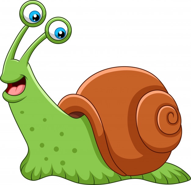 626x605 Snail Vectors, Photos And Free Download