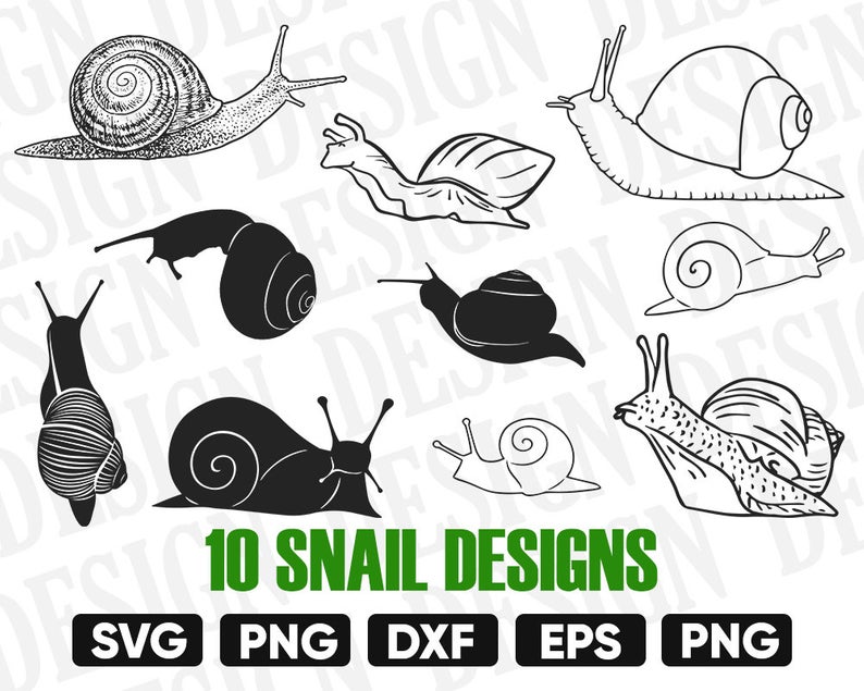 794x635 Snail Clipart Snail Snail Vector Snail Snail Etsy