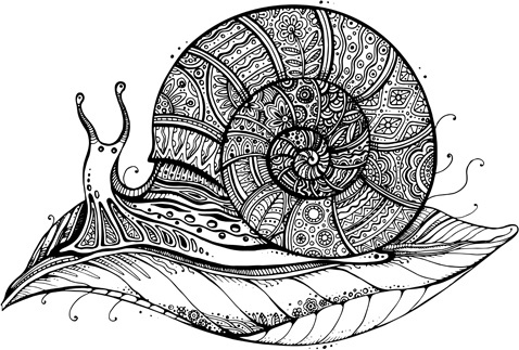 478x323 Snail Free Vector Download