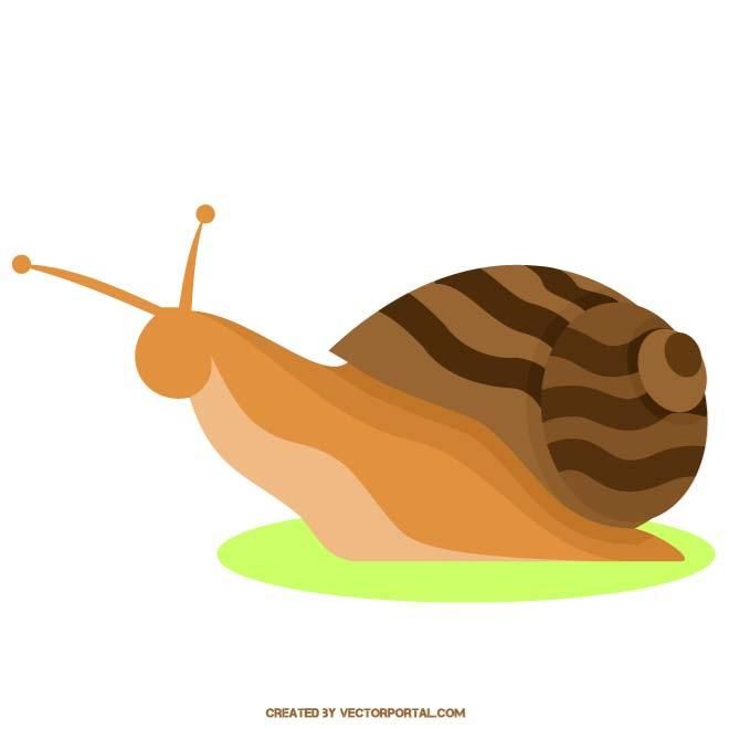 660x660 Snail Vector Image Snails, Snails And More Snails With A Few