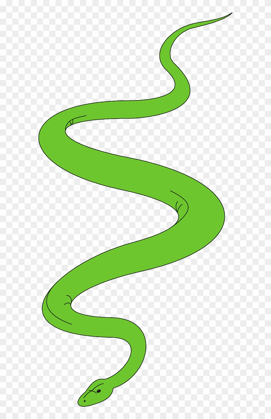 Snake And Ladder Vector at Collection of Snake And