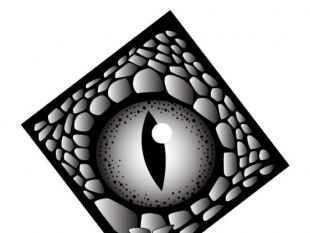 310x233 Snake Eyes Free Vectors Ui Download