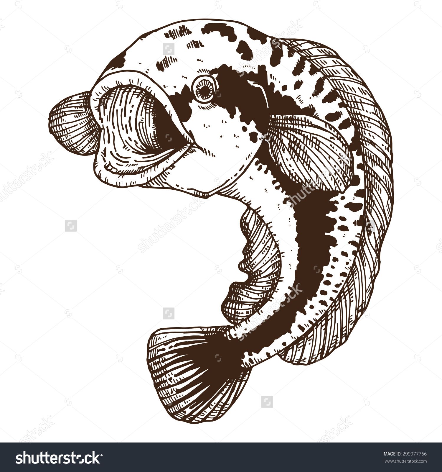 Snake Head Fish Stock Vector Illustration Shutterstock 1500x1600 Snake Head Fish Stock Vector Illustration Shutterstock